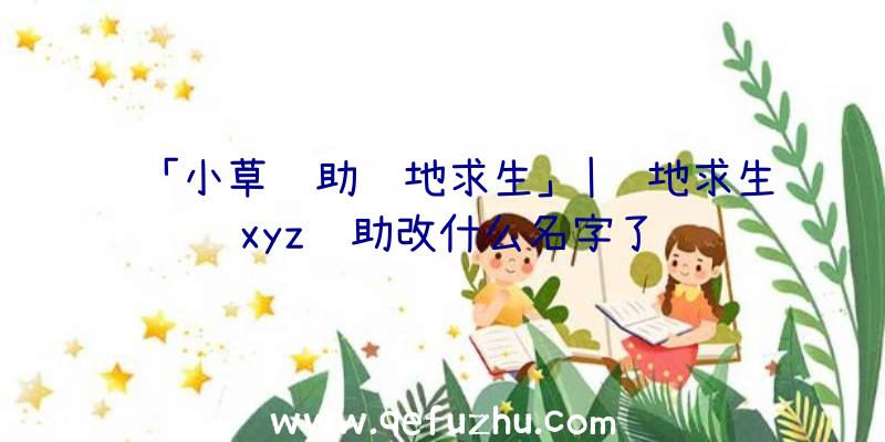 「小草辅助绝地求生」|绝地求生xyz辅助改什么名字了